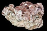 Cobaltoan Calcite Crystal Cluster - Bou Azzer, Morocco #108738-1